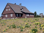 Jizerské hory, Jizerky
