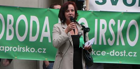 Poslankyn Eva Dundáková ped irskou ambasádou. Zelená barva je národní barvou Ir.