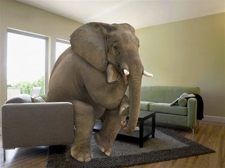 Slon v obýváku? To je nový Apple tablet