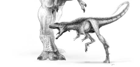 Ilustrace urnálu Science pedstavuje pedchdce Tyranosaura rexe, Raptorexe