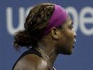 Serena Williamsová debatuje s rozhodí