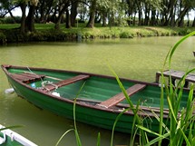 Maarsko. Balaton. Na jihozpadnm okraji jezera (zde u Balatonberny) se tvo rzn ztoky a jezrka. Prv tato msta maj rdi rybi.