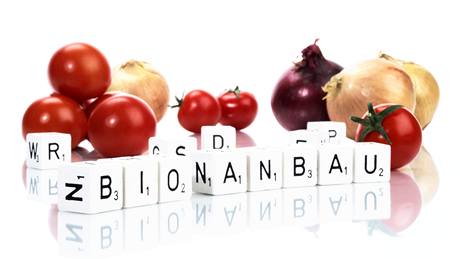 BIO zelenina má plnější chuť a vyšší obsah zdraví prospěšných látek 