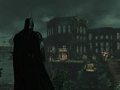 Batman Arkham Asylum (PC)