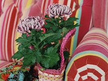 Pro floristy jsou chryzantmy vdnm objektem zjmu, s jeho pomoc lze spolehliv oivit kad interir
