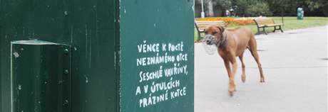 Básn Ivana Blatného na odpadkových koích na Obilním trhu v Brn