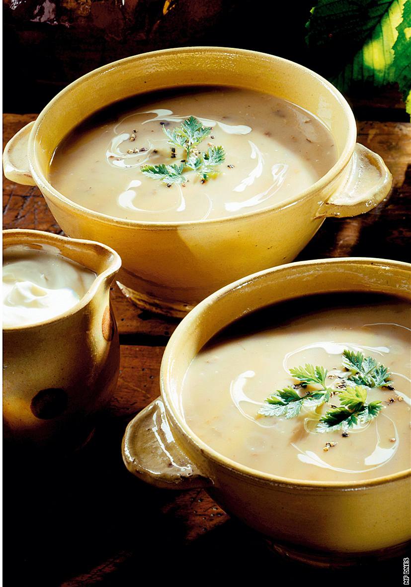 Vít�zný recept - ka�tanová polévka