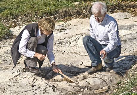 Stopy dinosaur star 150 milion let objevili vdci ve vchodn Francii.