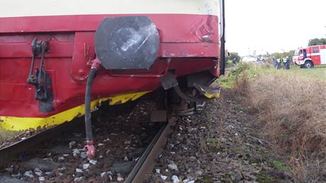 Vlak srazil u Vilsnic mue, nepeil. Ilustraní foto