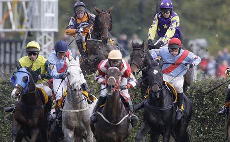 Velká pardubická 2009