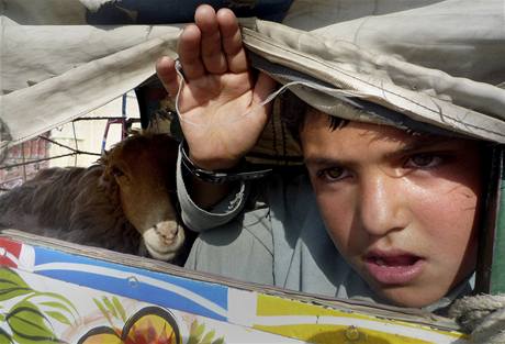 Pakistnt uprchlci ve mst Dera Ismal Chn. (18. jna 2009)