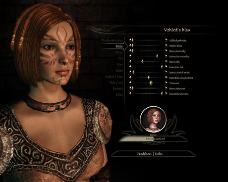 Vytvořte si postavu do Dragon Age: Origins - iDNES.cz