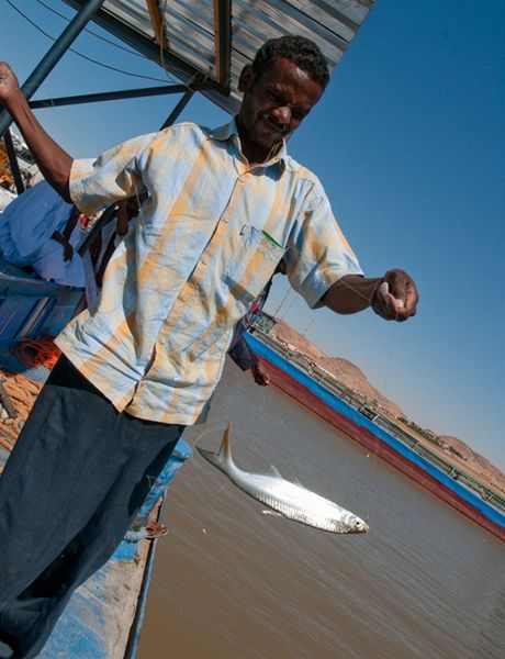 Plavba po divokm Nilu - nmonk chyt z paluby ryby