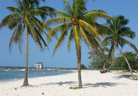 Ostrov Cayo Coco