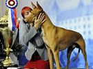 Nejhezí pes svtové výstavy ps World Dog Show 2009 - ptiletý Faraonský pes Jenny Hallové ze védska