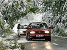 Tký mokrý sníh lámal a ohýbal vtve strom na Olomoucku. (15. íjna 2009)