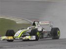 Velká cena Brazílie formule 1, Rubens Barrichello s vozem Brawn