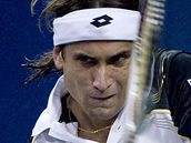 David Ferrer 