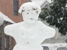 Sn�hov� kalamita v Jablonci nad Nisou. (16. ��jna 2009)