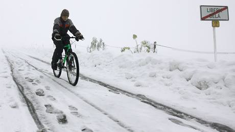 Snhov kalamita na Hradecku. (16. jna 2009)