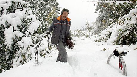 Snhov kalamita - Petrovice, oprava prasklho izoltoru na vysokm napt (16. jna 2009)