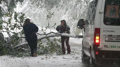 Na silnici mezi Rybnou nad Zdobnicí a Slatinou nad Zdobnicí si s popadanými stromy poradili sami idii (15. íjna 2009)
