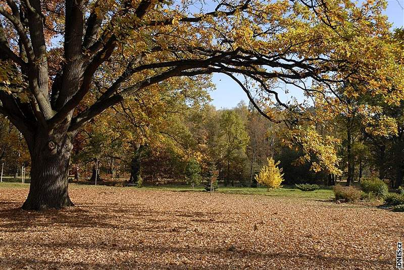 Podblanicko. Pohled na zámecký park v Jemniti