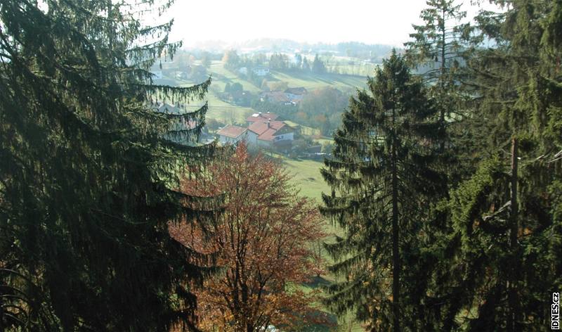 Stezka v korunách stromů v Bavorském lese