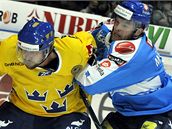 FInsko - védsko: Mikko Mäenpää a Peter Forsberg (vlevo)