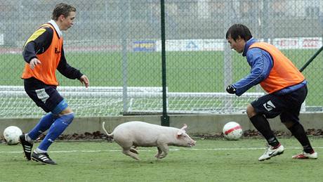 Fotbalisté Ústí se seletem na tréninku