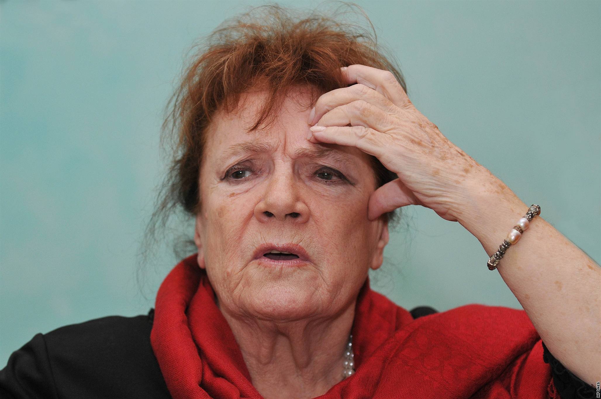 Vlasta Chramostová
