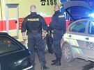 Policie zasahuje pi pestelce v Praze - Zábhlicích. (14. listopadu 2009)