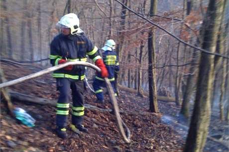 Hasii zasahují u poáru lesa na tchovicku. (29. listopadu 2009)