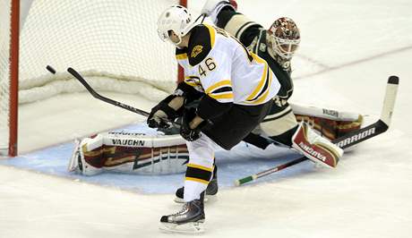 ZÁSAH V PRAVOU CHVÍLI. Centr týmu Boston Bruins, eský útoník David Krejí, pekonává gólmana Minnesoty, finského reprezentanta Niklase Backströma.