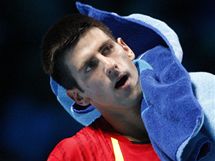 Novak Djokovi