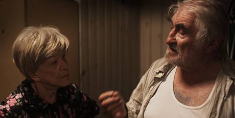 Jaroslava Adamov a Pavel Landovsk ve filmu Stnu neutee (2009)
