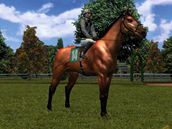 Horse Racing Manager 2