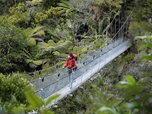 Nov Zland, Abel Tasman Coastal Track