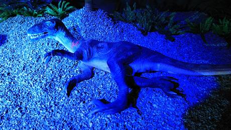 Výstava dinosaur v brnnské Olympii