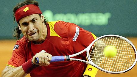 David Ferrer