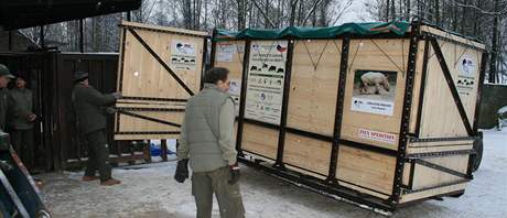 Dvorské zoo mohl ukodit transport vzácných nosoroc do Afriky, který asociace nepodpoila. Ilustraní foto