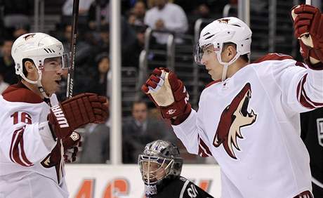 Radim Vrbata (vpravo) loni slavil góly s Petrem Prchou. Letos si s Vrbatou a Hanzalem nejspí zahraje v útoku veterán Ray Whitney