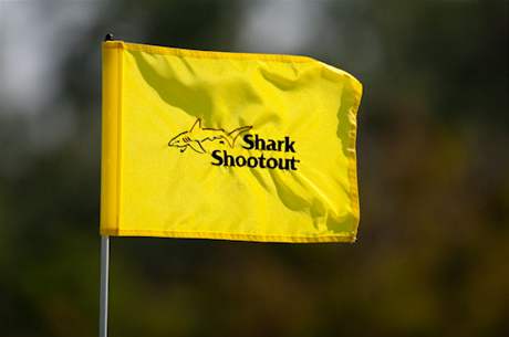 Shark Shootout