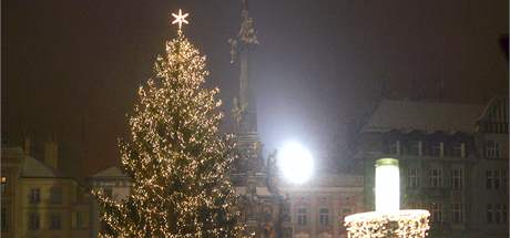 Anketa o nejkrásnjí vánoní strom v republice - Olomouc