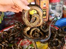 Kamboda, peení hadi