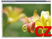 ACDSee Photo Manager 2009