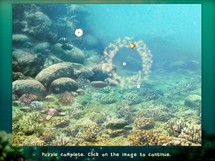 Underwater Puzzle 1