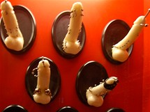 Muzeum sexu v Praze