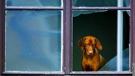 Byt se m��e kv�li rozbitému oknu zm�nit v mrazni�ku.