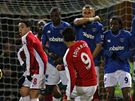 Portsmouth - Arsenal: hostujc Eduardo (v ervenm) prv skruje